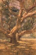 unknow artist Oaks and Shadows oil painting reproduction
